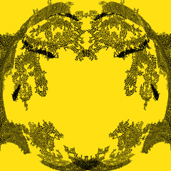 PREMIERE - Rui Azevedo - Higher Translucency (Eastern Standard)