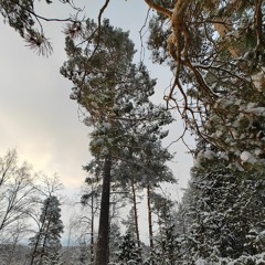 Mahdi Khaleel Talib - Reitti nähään (Lo-fi | 2023 | tuot. Olpek)