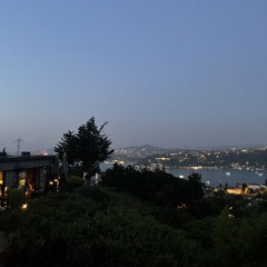 babes - icky blossoms (remix)