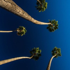 YBC Manman - Like Sex (Exclusive)