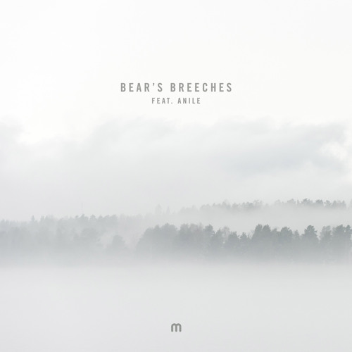 Bear's Breeches (feat. Anile)