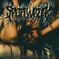 SPLIFFWRECK Live in the Backyard - (3/16/2024)