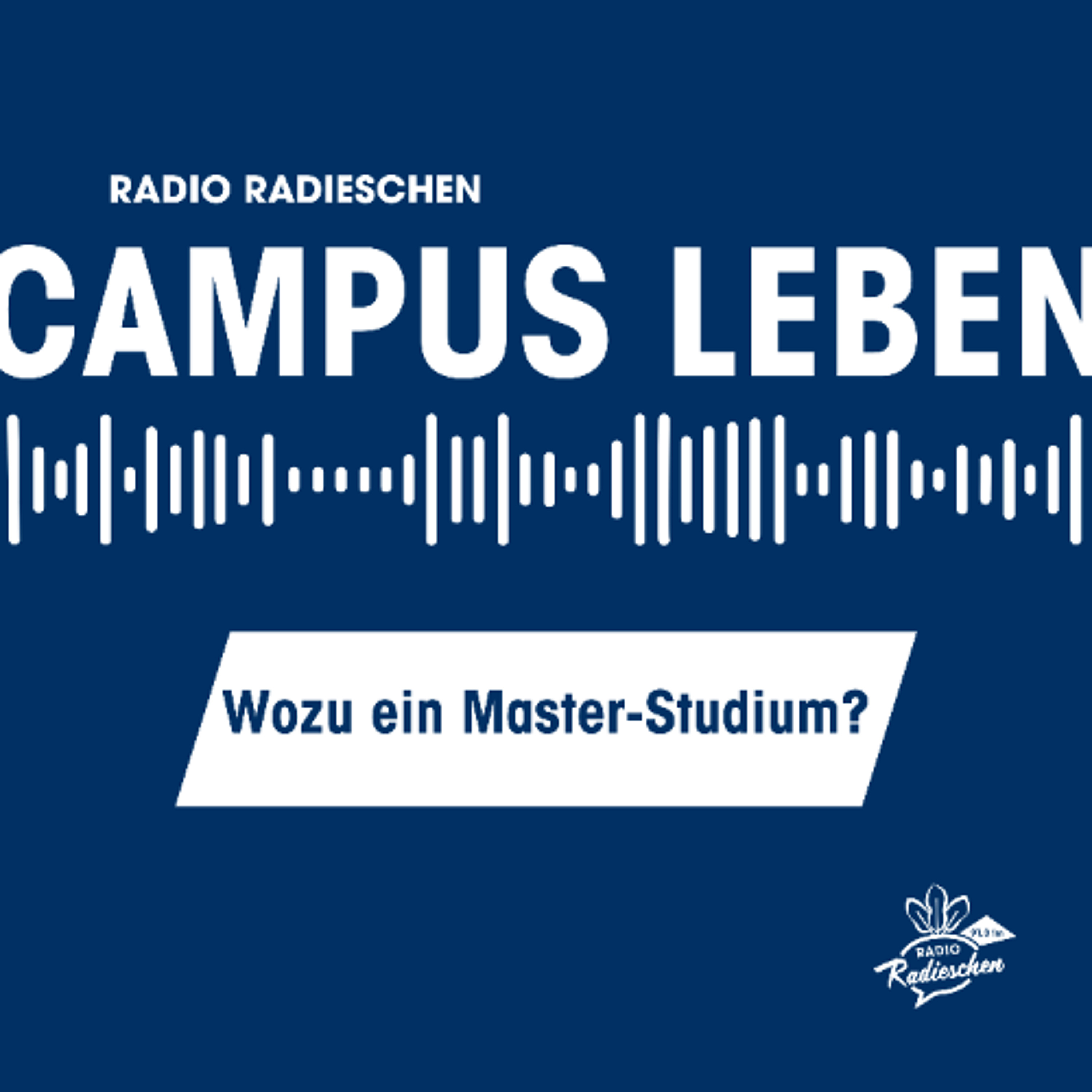 Meet Your Studi -  Wozu ein Master-Studium? Mit Magdalena Wurz & Daniela Mühlburger episode artwork