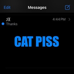 CAT PISS