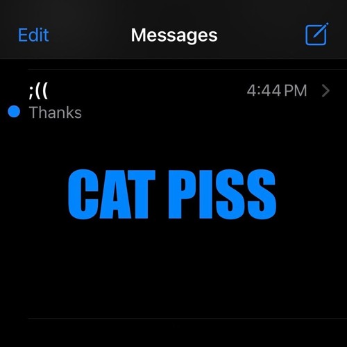 CAT PISS