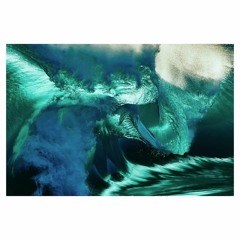 The Rocket - Noom 2023