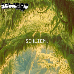 SCHLIEM.