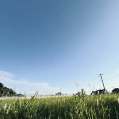 Portfolio#1_250724