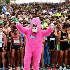 Bay To Breakers