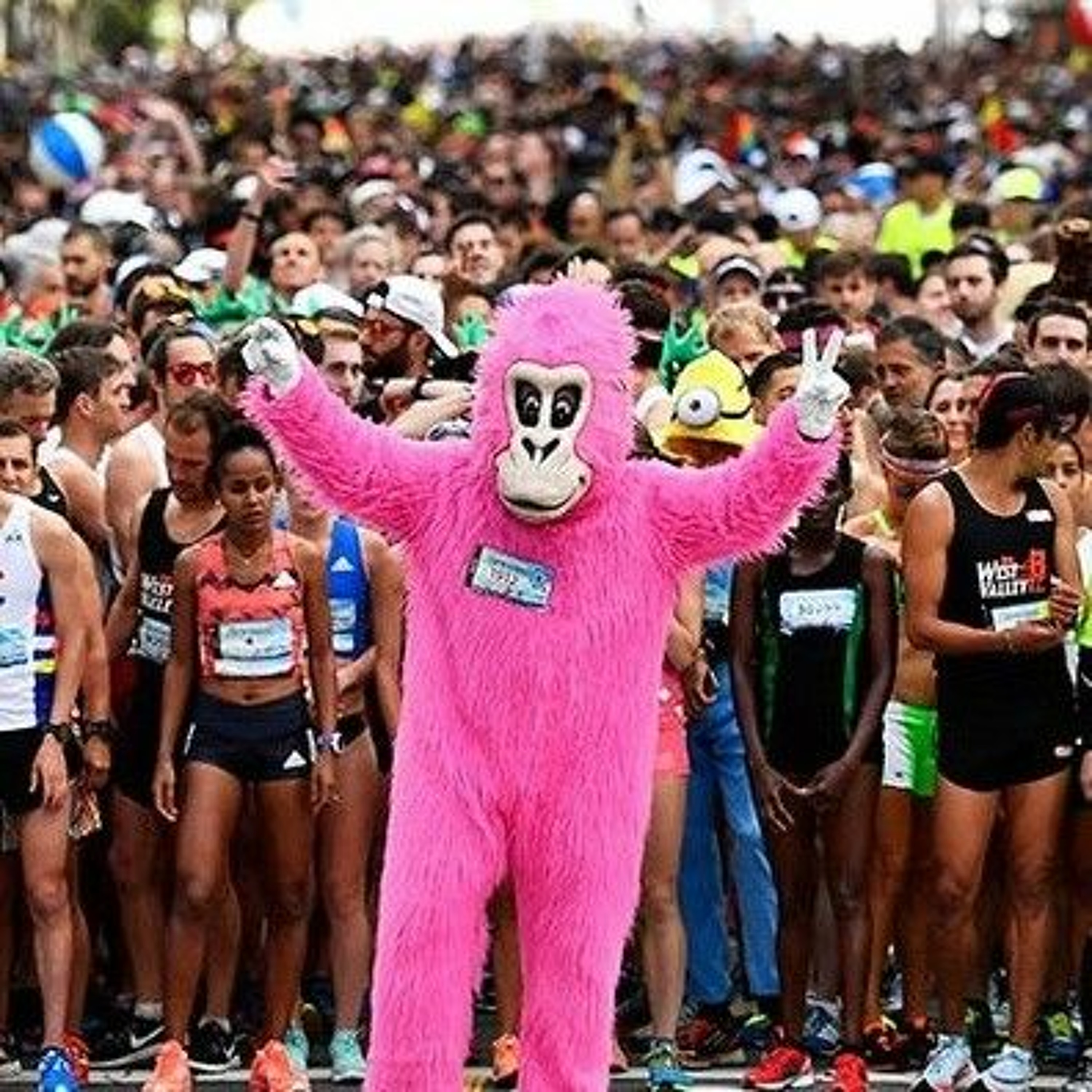 Bay To Breakers episode artwork