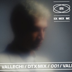 DTX MIX / 001 / VALLECHI