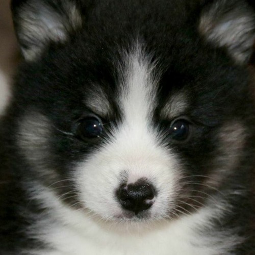 Drive & vibe (TheBREAKupMIXtape)