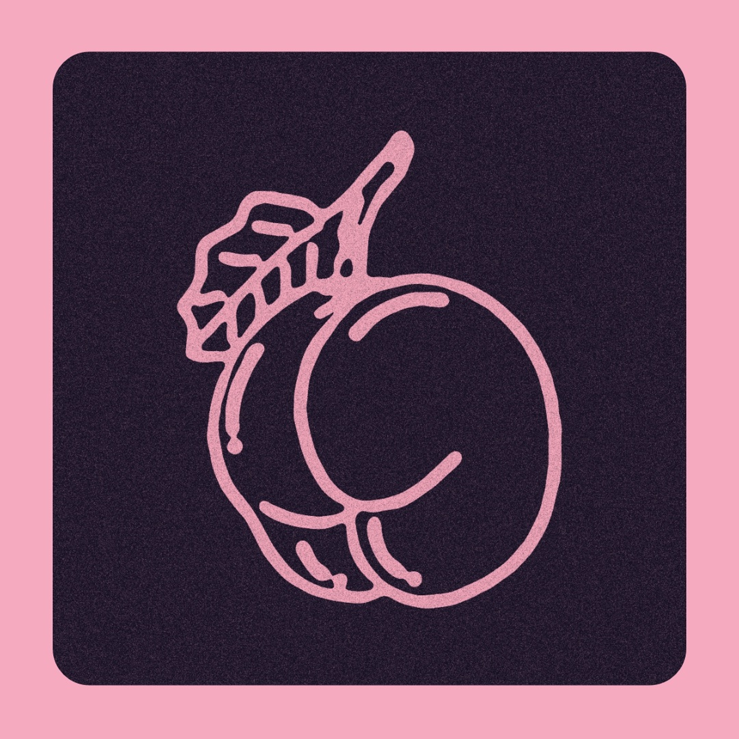 FROM BOOGIE TO BOOTY • 16.05.16 episode artwork