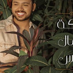 اغنيه ملكه جمال الناس - محمد شاهين