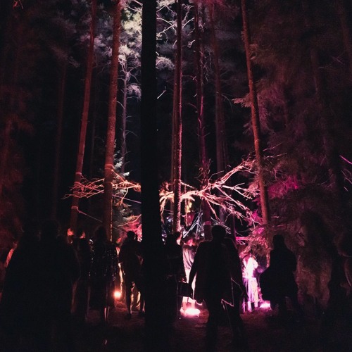 DJ Set @ The Glade, Borderland, Sweden | Deep-Hypnotic-Hard-Techno