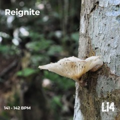 Selector Podcast #16 | Reignite