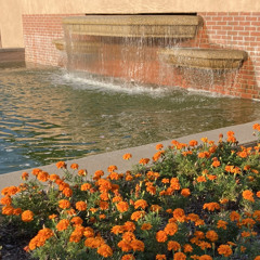 Logic1000 has grown me