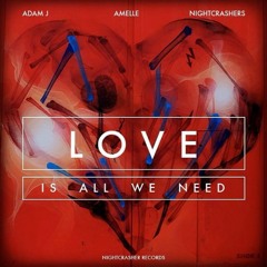Adam J Ft. Amelle & Nightcrashers - LOVE (Is All We Need)