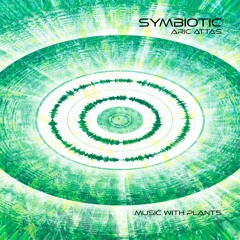 Lichen on Pine Tree, Cape Cod National Seashore