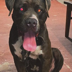 BOIIFREN-KRUGAH RMX 2025🔥🎶😮‍💨