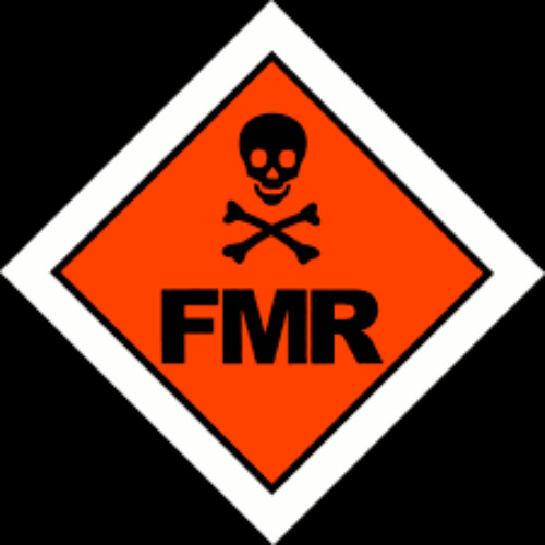 Radio fmr MICHI ( interview + DJ SET )