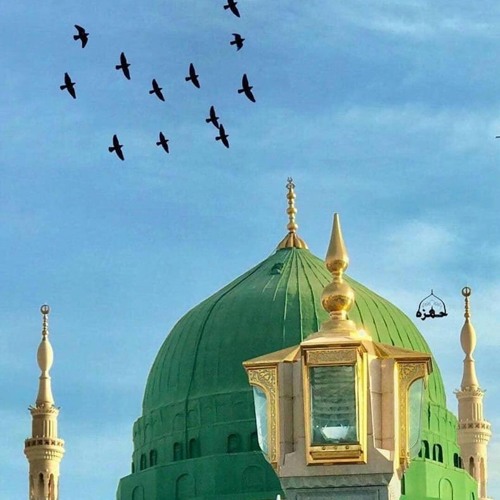 ما شَمَمتُ الوَرْدَ إلاّ زادني شوقًا إليك.