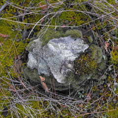me and rocks