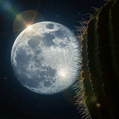 Alfred Saures. Sii Neni