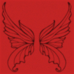 Ana Donyeto Showcase