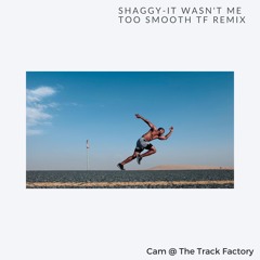 Shaggy - It Wasn't Me - Track Factory Too Smooth Remix