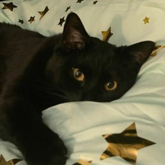 ×staying up - the neighborhood (sped to perfection)×