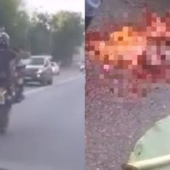 Tragédia Motociclista Tenta Puxar Grau, Se Choca com Caminhão e Morre Decapitado – Veja no Portal Zacarias