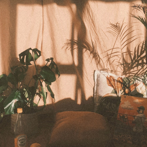 Ode To Summer
