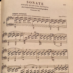 Moonlight Sonata (a cappella)