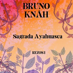 Sagrada Ayahuasca
