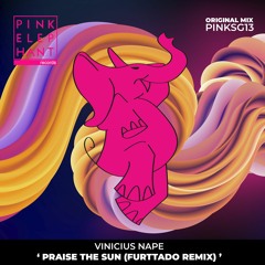 [PINKSG013] Vinicius Nape - Praise The Sun (Furttado Remix Extended)