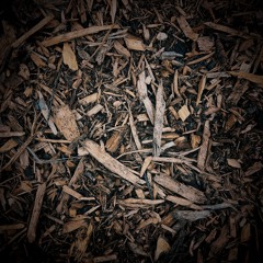 One (Ochre extras)