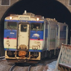 Sakimori Zone【崎守駅】