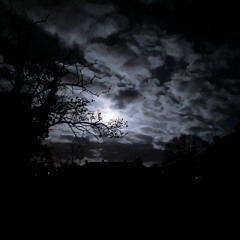 I Bleed So That I Heal