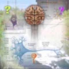 nao confio mais nessas vadias.mp3