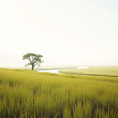 Mindy Chisholm - Simply Live