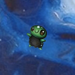 The Turtle Tape