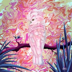 Sueños Safari