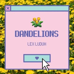 DANDELIONS (prod. Rollie)