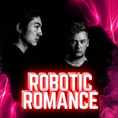 Robotic Romance SPRINGSET