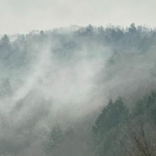 Dreams From The Fog