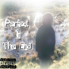 Perfect In The End ( Ft. Prospectfully )