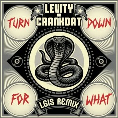 TURN DOWN FOR WHAT,  Let's Get it Started , CRANKDAT, Levity, DJ Snake, LIL JON
