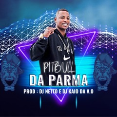 MC LITO - PITBULL DA PARMA (( DJS NETTO E KAIO DA V.O ))2023