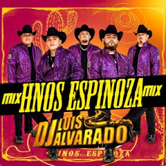 Hermanos Espinoza Mix 2023 Luis Alvarado Dj SLP